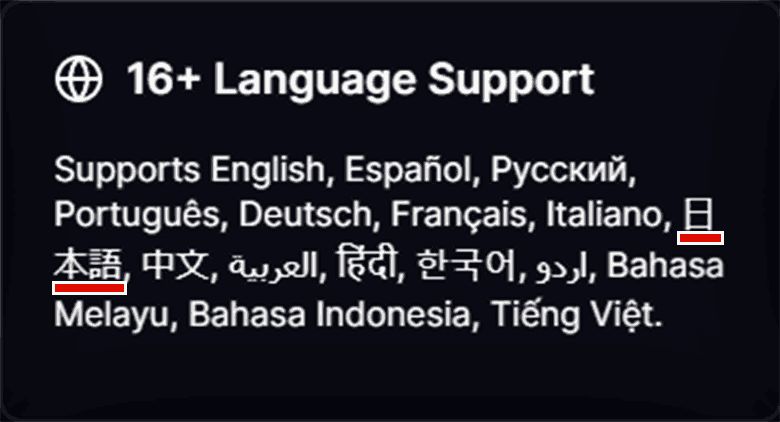 VidSummize Features 16+ Language Support